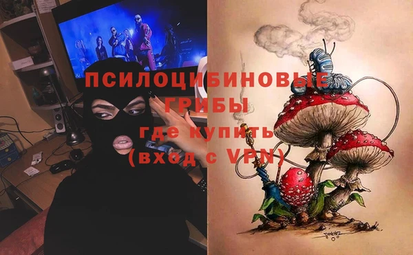 спайс Инсар